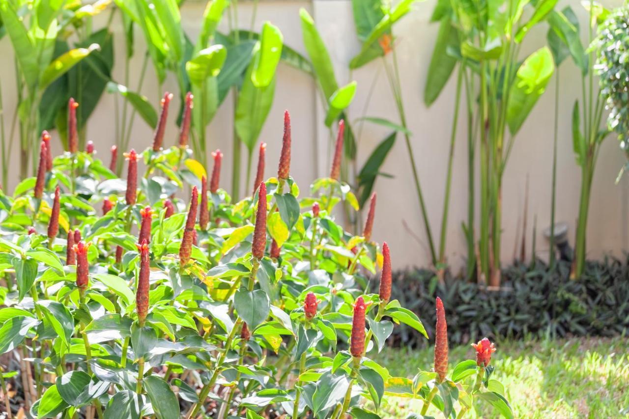 Foxtail Palm Villa Rawai 外观 照片